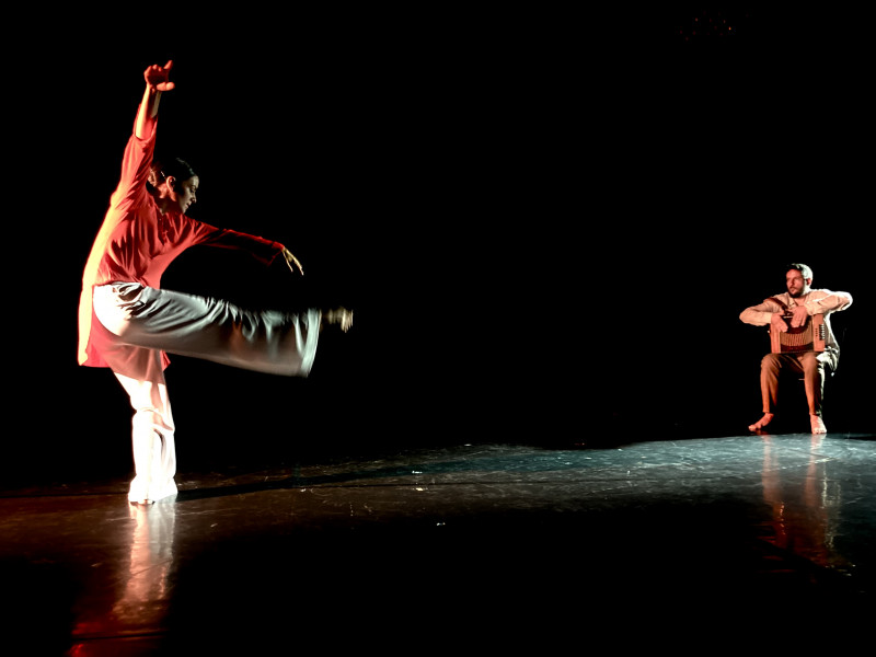Spectacle de Danse 