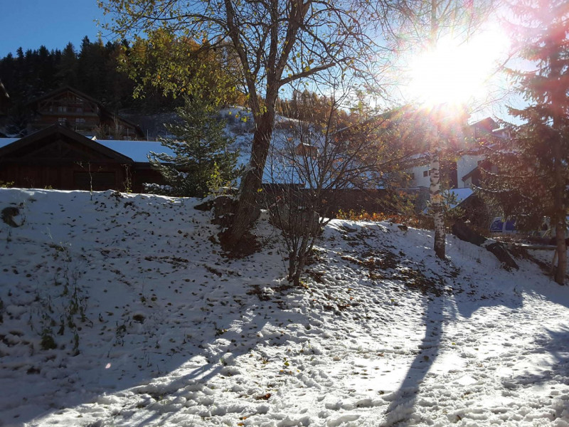 _clients_227321003_photos_67l_1250794