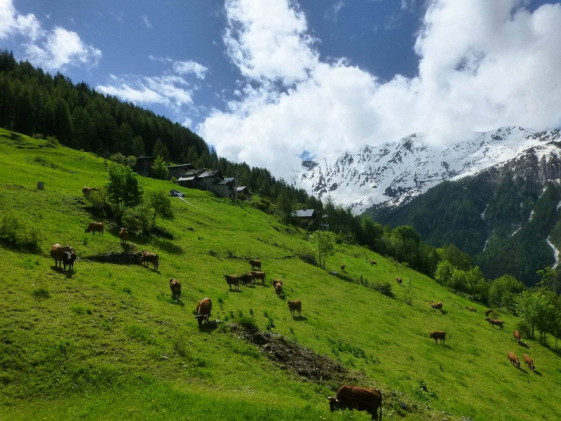 _clients_227321004_photos_20047k_1333982