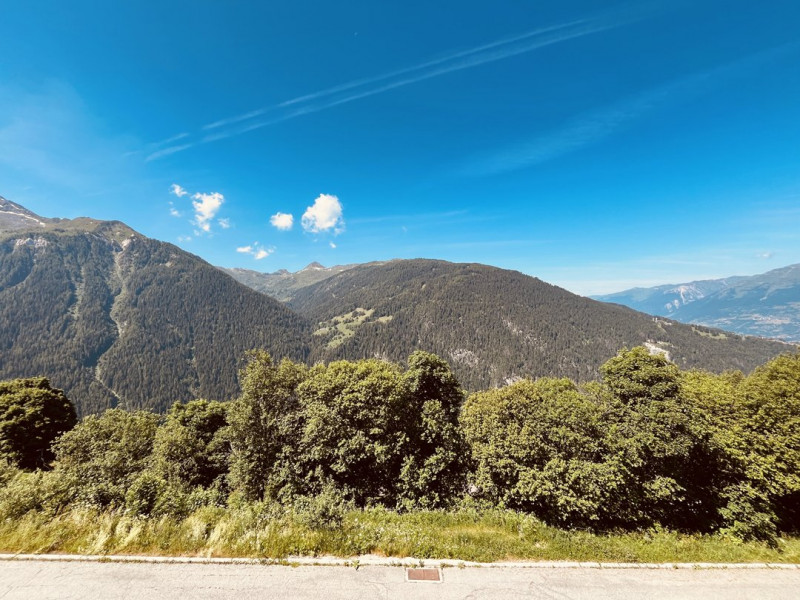 _clients_227321004_photos_20060i_1378485