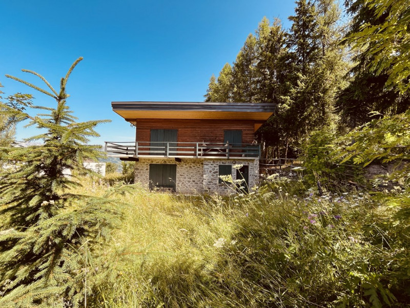 _clients_227321004_photos_20070n_1504829