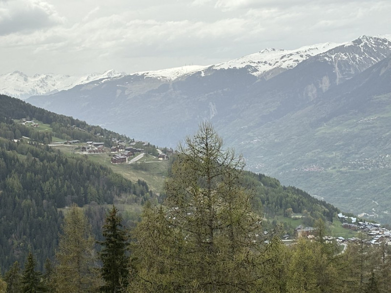 _clients_227321004_photos_23955n_1445383