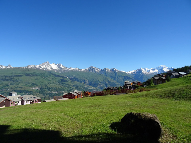 Vue été