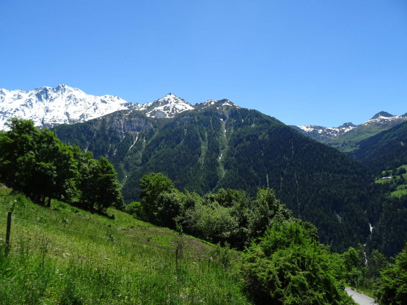 Vue été