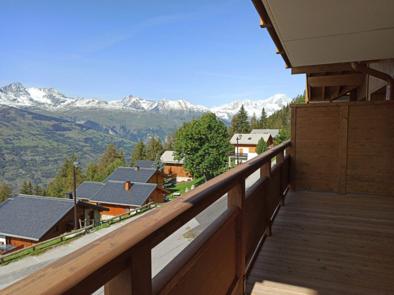 Balcon Granges de l'Epinette 19 Vallandry