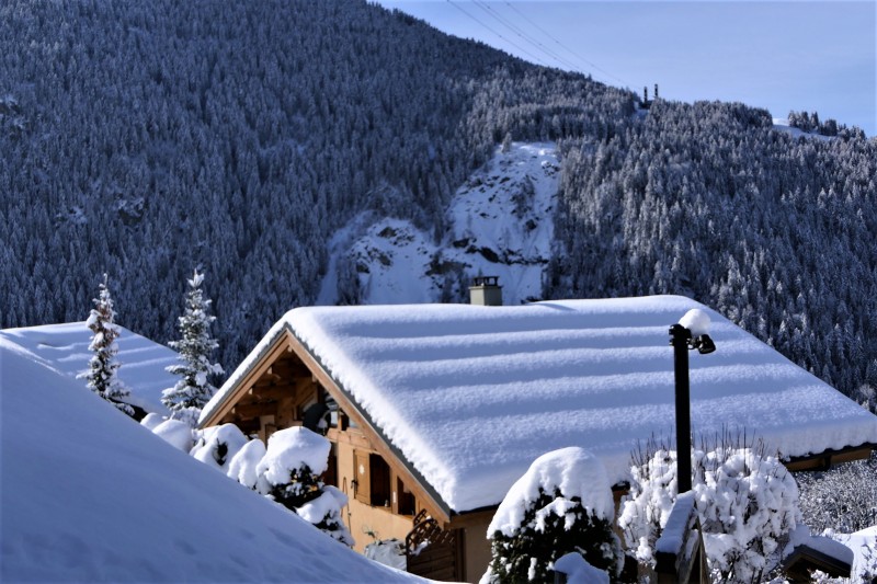 chalet-heidi-quiet-villaret-16-janv-2021-3-60202