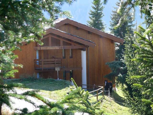 chalet-le-datcha-les-mievres-plan-peisey-5-16158