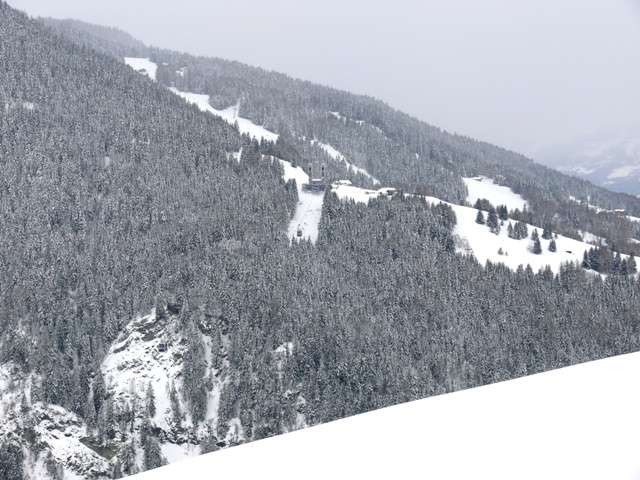 cordettes-42-4-11261