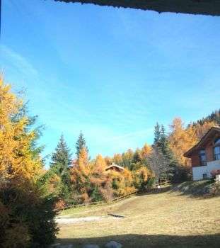 darbella-11-nov-2010-7-5883