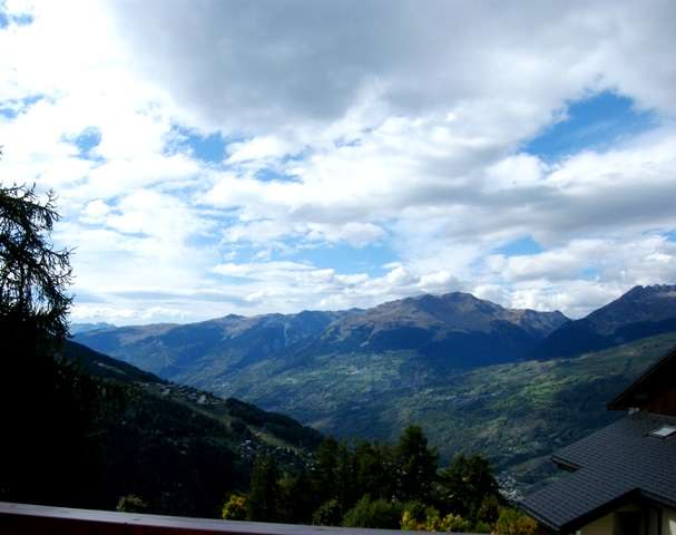michailles-n-302-11-26921