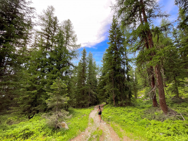 rando-peisey-vallandry-sahraronc-72945