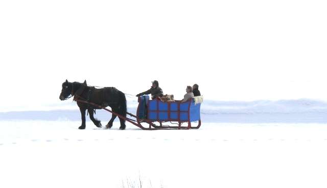 traineau-a-cheval-aux-lanches-1er-avril-2013-79-14596