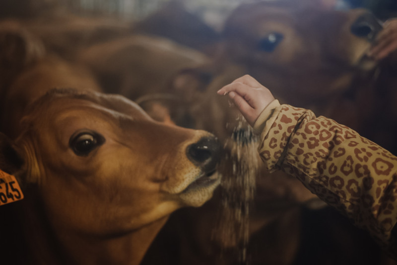 Visite de la ferme du GAEC Alpin