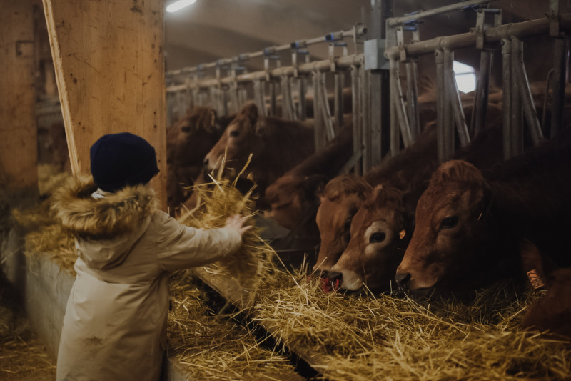 Visite de la ferme du GAEC Alpin