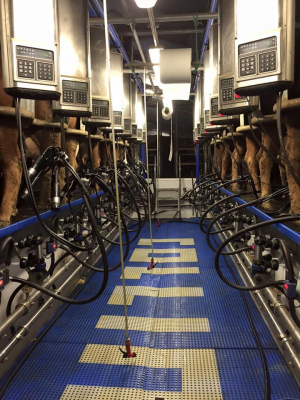 Visite de la ferme du GAEC de l'Aliet