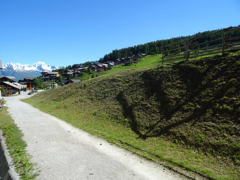 Vue été Grande Ourse 24 Vallandry