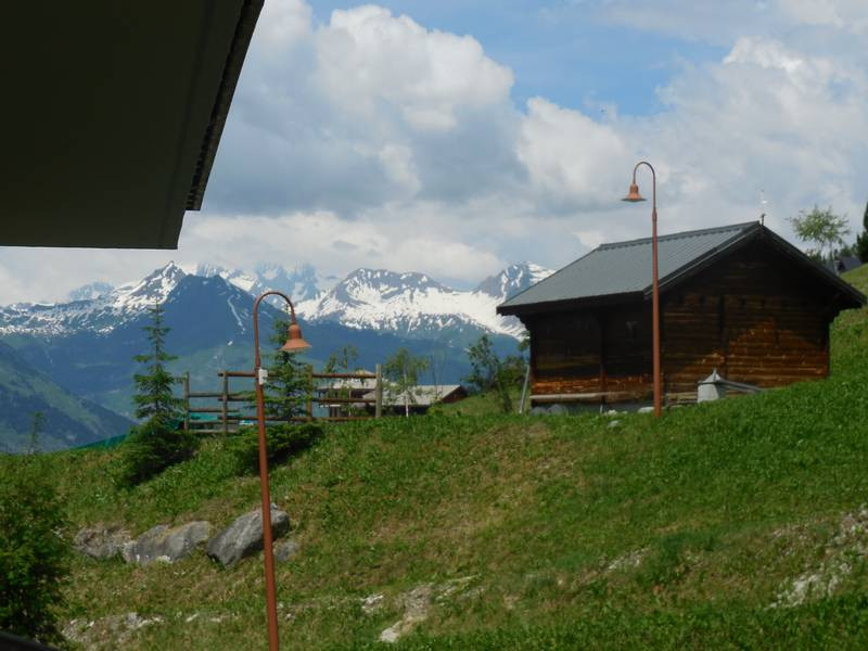 Vue été Praz de l'Ours 2 25 Vallandry