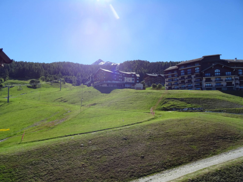 Vue été Soldanelles 39 Vallandry