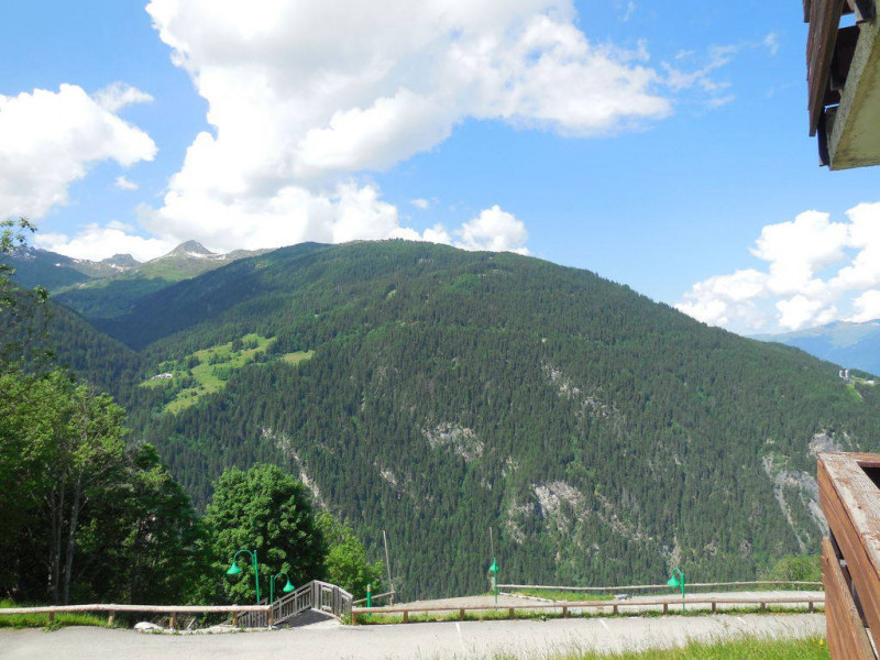 Vue été Thuria 8 Plan-Peisey