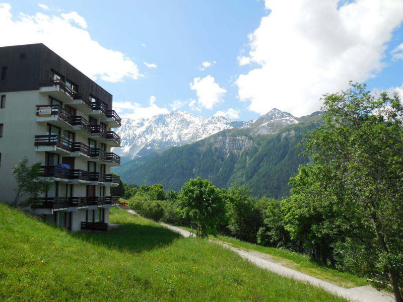 Vue été Thuria 8 Plan-Peisey