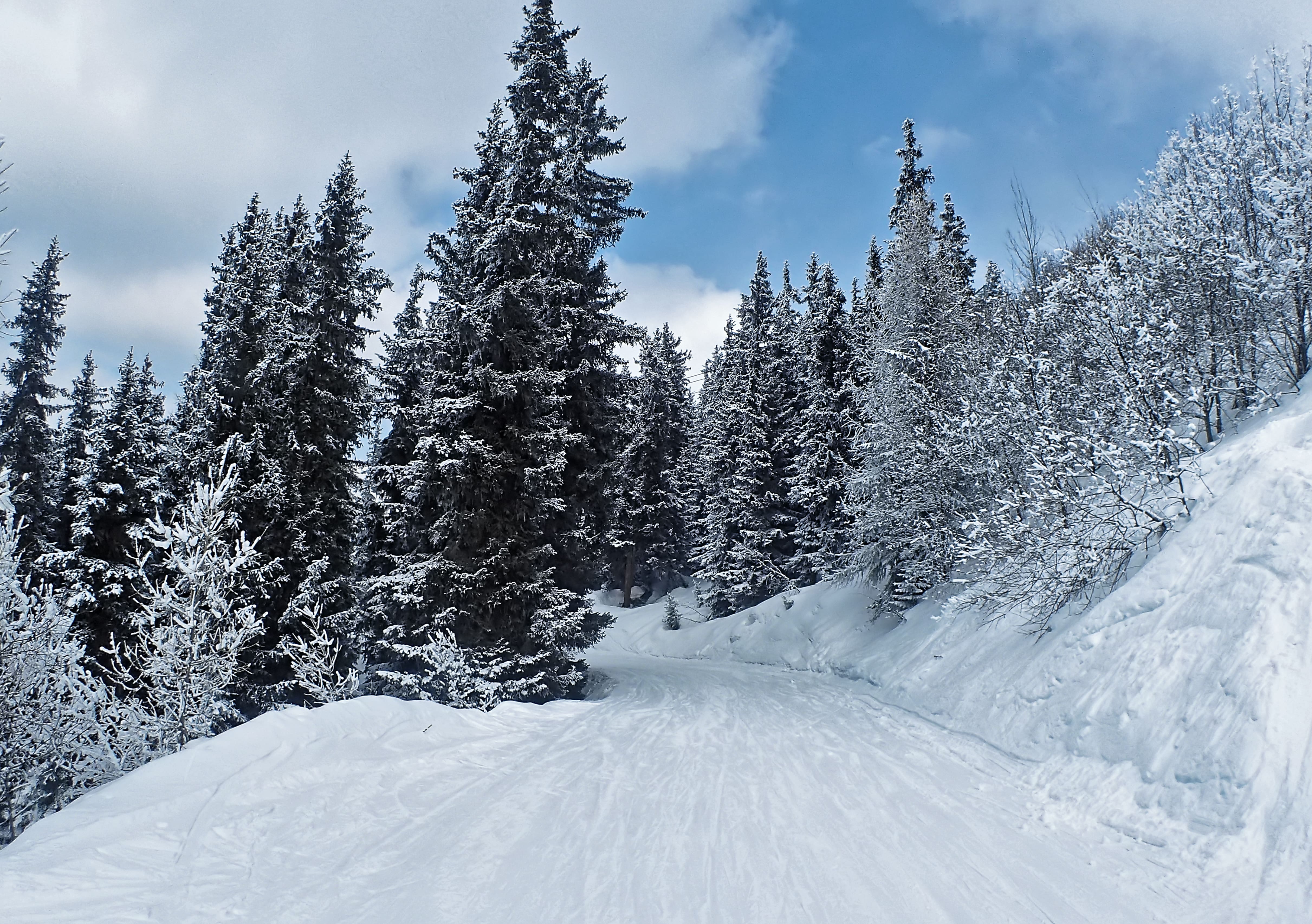 5 Winterwanderungen für die ganze Familie! - © OTPeiseyVallandry