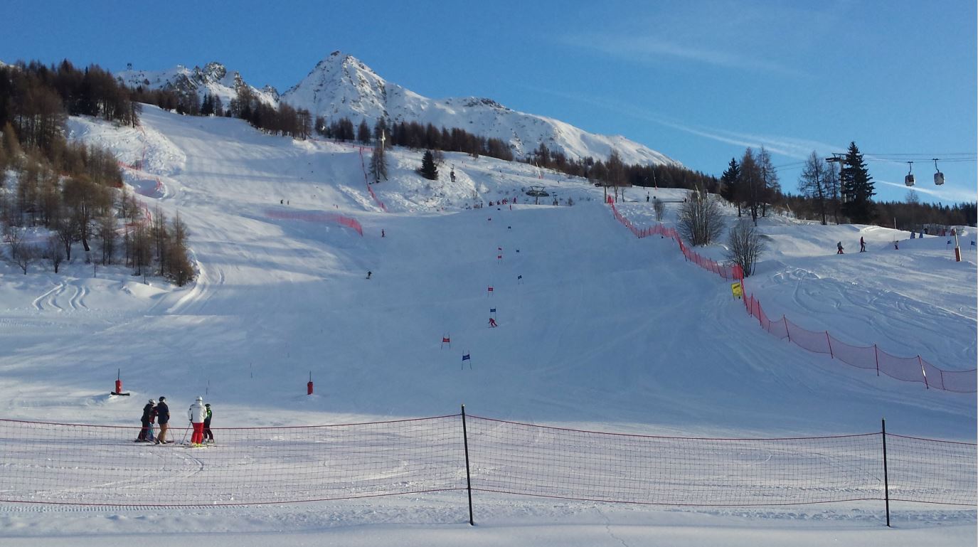 stade-tetras-790262	